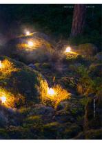 Aura Light – Gesamtkatalog LONG LIFE LAMPEN 2018 - 4