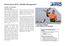 Fixed and Flapping Proposal - 6