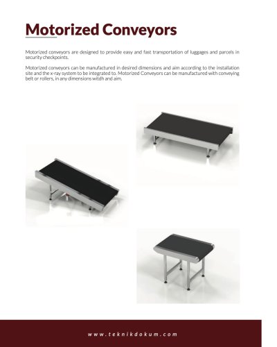Motorized Conveyors