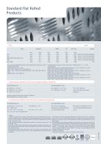 Standard Flat Rolled Products - 4