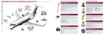 Noise Attenuation and Control for Business Aircraft - 2
