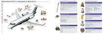 Noise Attenuation and Control for Business Aircraft-2