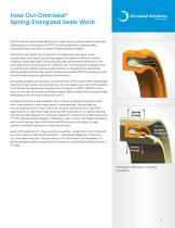 OMNISEAL® POLYMERS SPRING-ENERGIZED SEALS-7