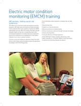 SKF Electric Motor Condition Monitoring - 13