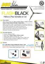 FLASHBLACK flyers - 2