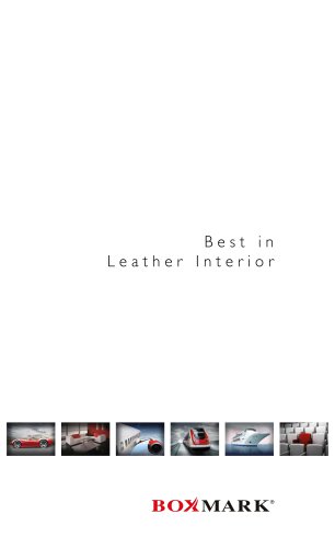 Best in Leather Interior