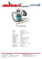 F1 - VE - 1