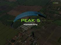 PEAK 5