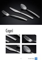 Sola Airline/Railway Cutlery brochure 2020 - 23