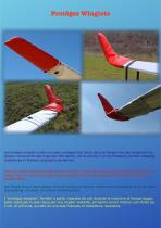 AA WINGLETS GLIDER - 1