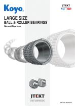 B2002E Large size Ball & Roller Bearings - 1