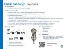 Radius Bur Range - Synopsis - 1