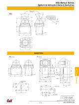 KSJ Detect Series - 2