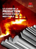 LE LEADER DE LA PRODUCTION INTÉGRÉE D’ACIER INOXYDABLE - 1