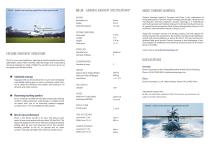 DS-2C Leaflet - 2