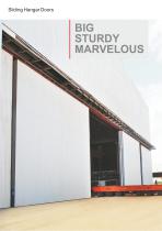 Aircraft Hangar Doors - 16