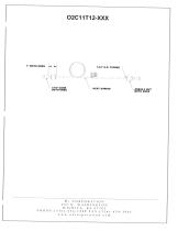 O2 CORPORATION - 19