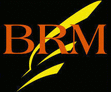 BRM Construções Aeronáuticas Lda - logo