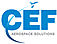 CEF Industries LLC