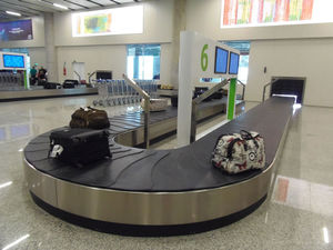 carrossel de bagagens em escamas / em meia-lua / para aeroporto / horizontal