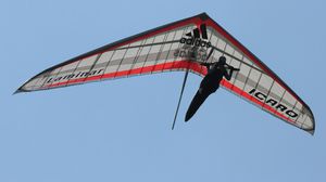 asa-delta esportivo / monolugar