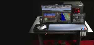 simulador de avião / para treinamento / para computador