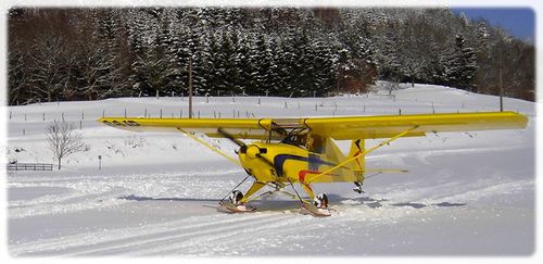 Ultraleve motorizado de 2 lugares - TETRAS B - HUMBERT AVIATION - com motor de 4 tempos / para escola / monomotor