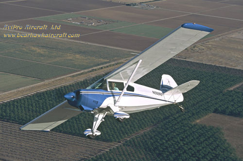 Avião turístico - Bearhawk Aircraft - monomotor / com motor de pistões / de 4 lugares
