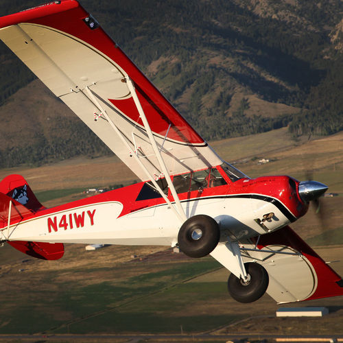 Avião turístico - Husky 200 - Aviat Aircraft, Inc. - monomotor / com motor de pistões / de 4 lugares