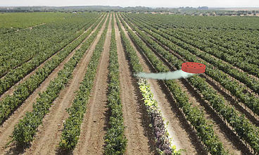 Drone profissional - drone hopper - DRONE HOPPER - agrícola / de asas rotativas