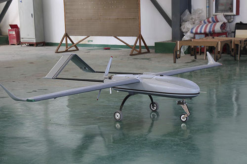 Drone profissional - Zhuhai Xingyu Aviation Technology Company - para captação de imagens aéreas / de asas fixas