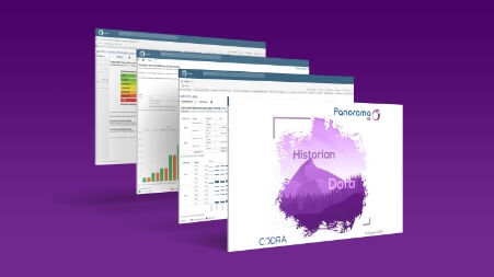 Software de criação de laudos - Panorama H2 - CODRA - servidor / de qualidade / de análise de dados