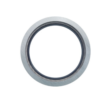 Junta de vedação em fibra de carbono - Bal Seal Engineering Europe BV - em PTFE / de mola