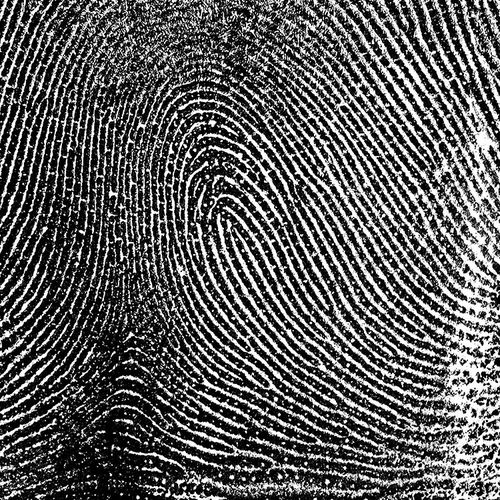 Software biométrico - AFIS/ABIS - DERMALOG Identification Systems - de reconhecimento de íris / para aeroporto / automático